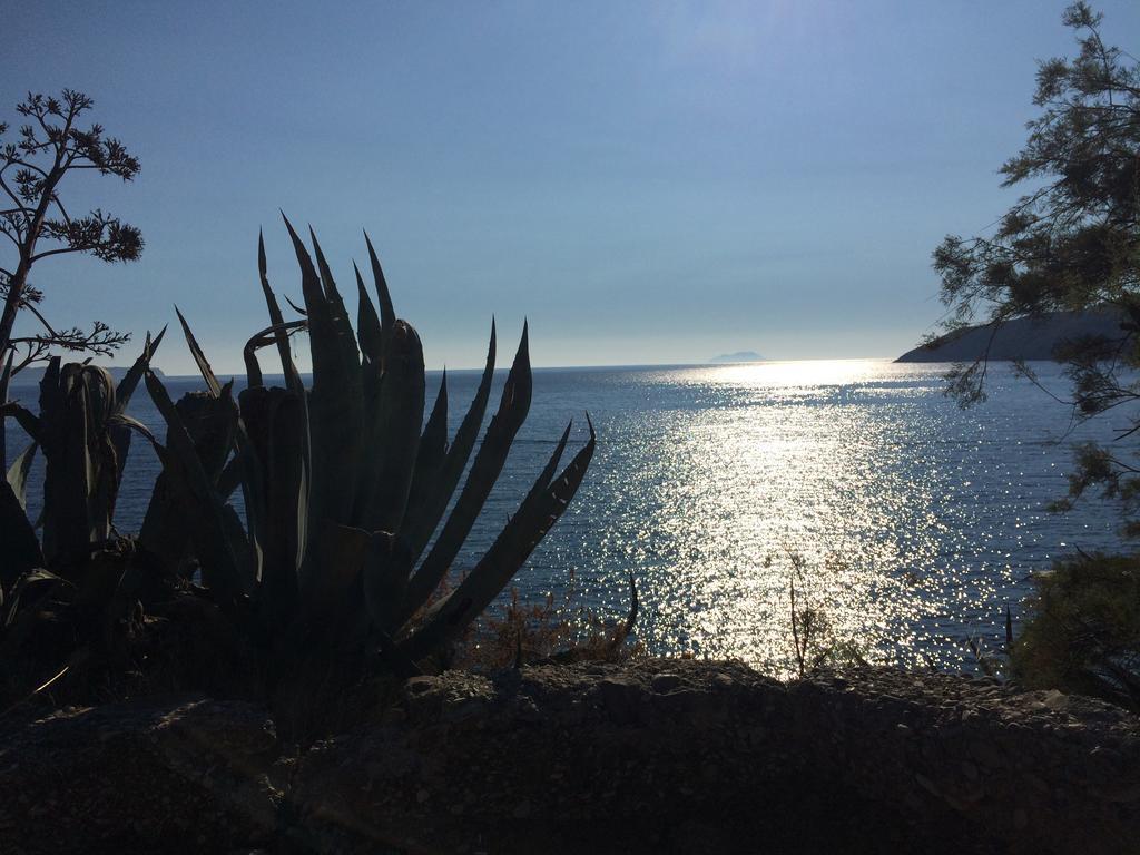 Villa Lavendel Trogir Luaran gambar